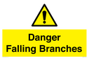 danger-falling-branches~